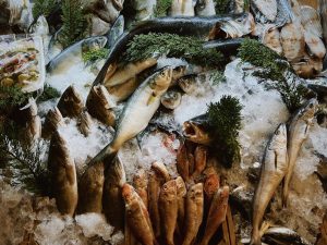 De ce bibanul de mare australian este superior păstrăvului prin proteine pure și siguranță pentru mesele tale zilnice