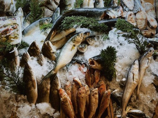De ce bibanul de mare australian este superior păstrăvului prin proteine pure și siguranță pentru mesele tale zilnice
